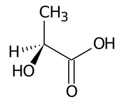 acido lattico