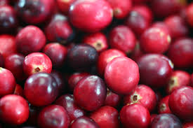 cranberry