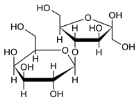 lattulosio