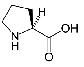 prolina