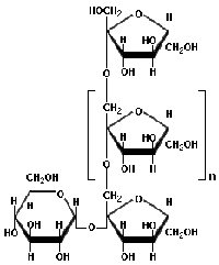 inulina