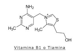 vitamina b1