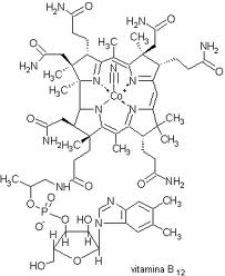 vitamina b12