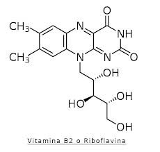 vitamina b2