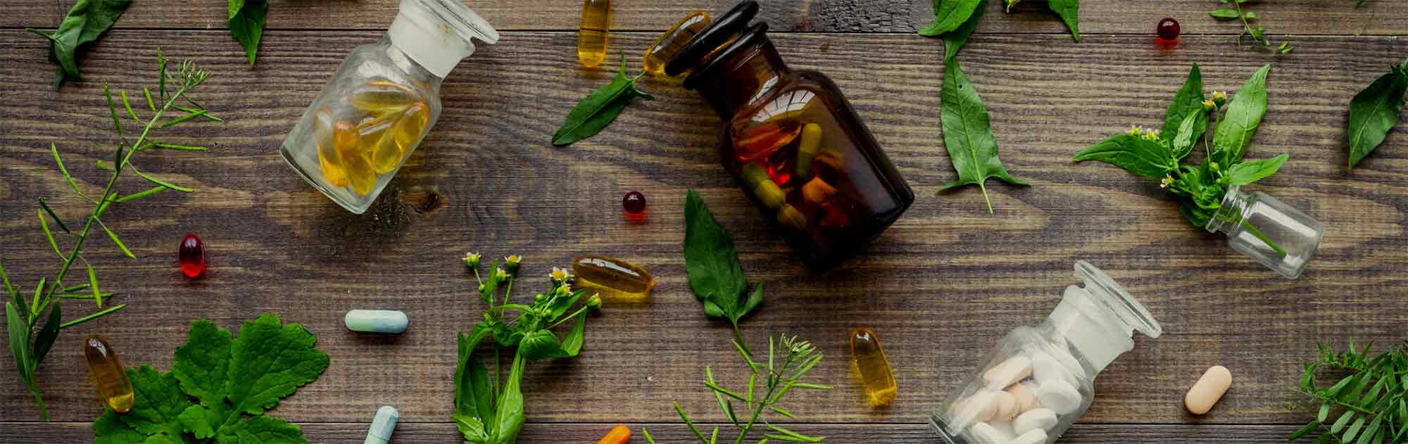 Scopri le piante officinali